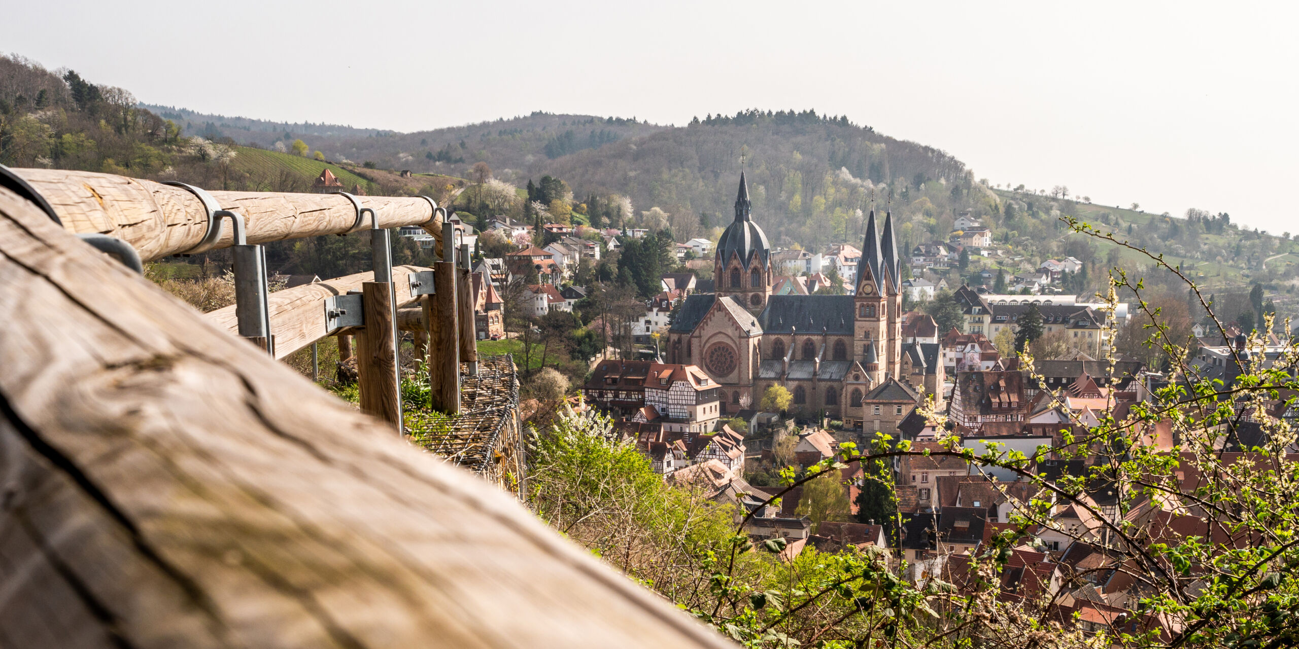 Hotelseite Heppenheim-1